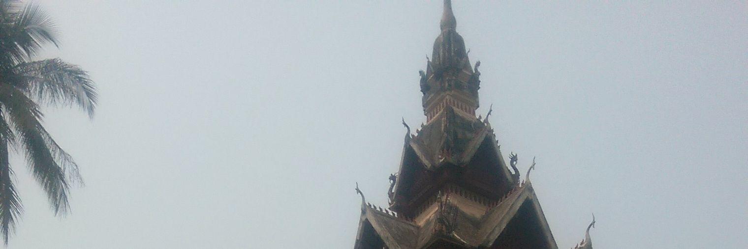 Corinne🍀 🕊️ banner