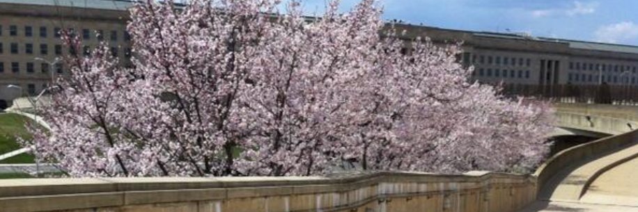 Bridget Johnson banner