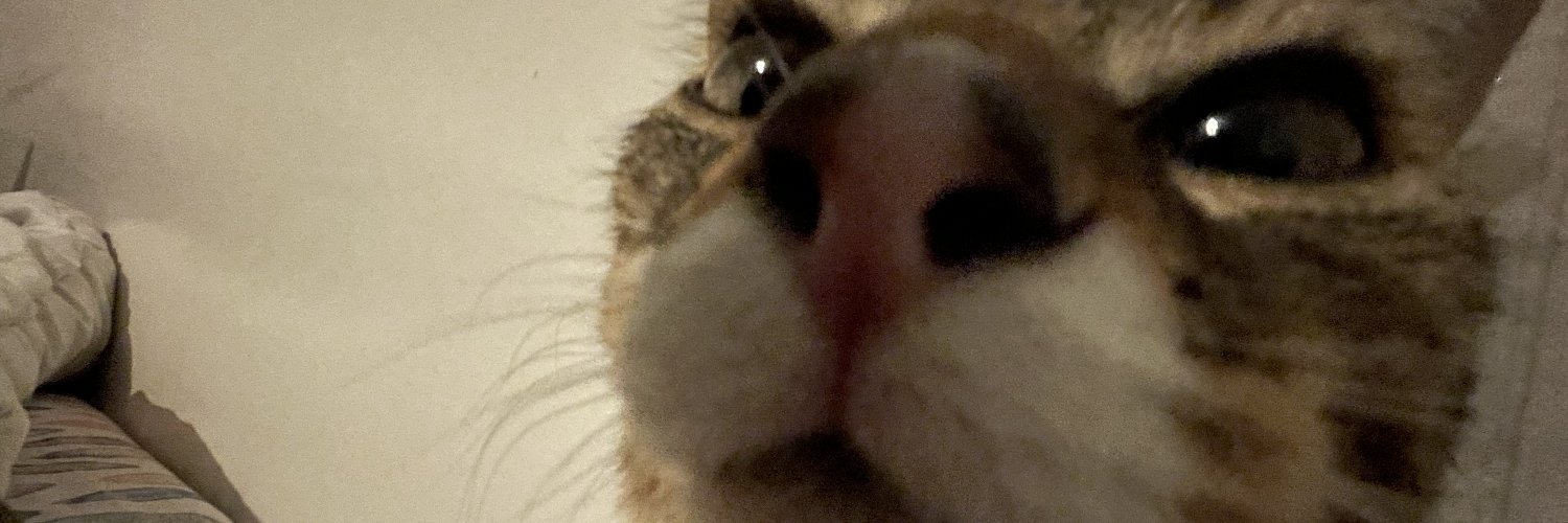 catposter's profile banner image