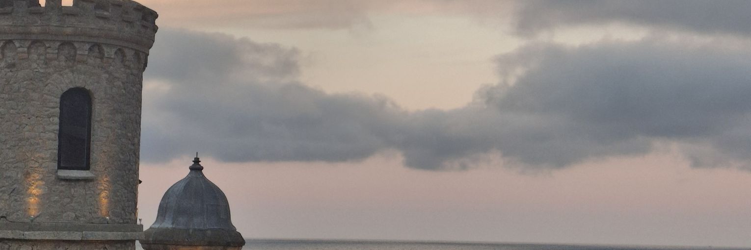 Donizzonii's profile banner image
