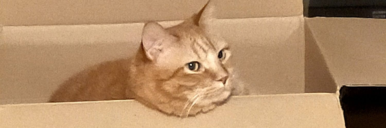 micochan414's profile banner image