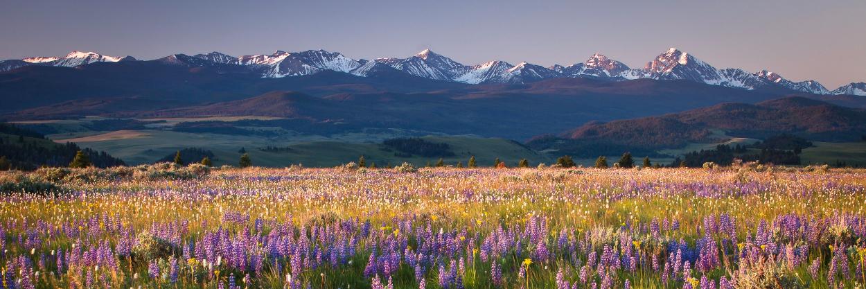 RockCreekRanch's profile banner image