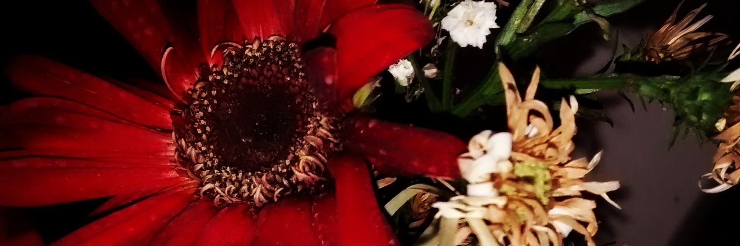 MarianaaaBh's profile banner image