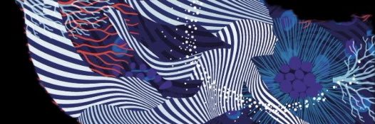 This user identifies as a Mermaid 🧜🏼‍♀️'s banner