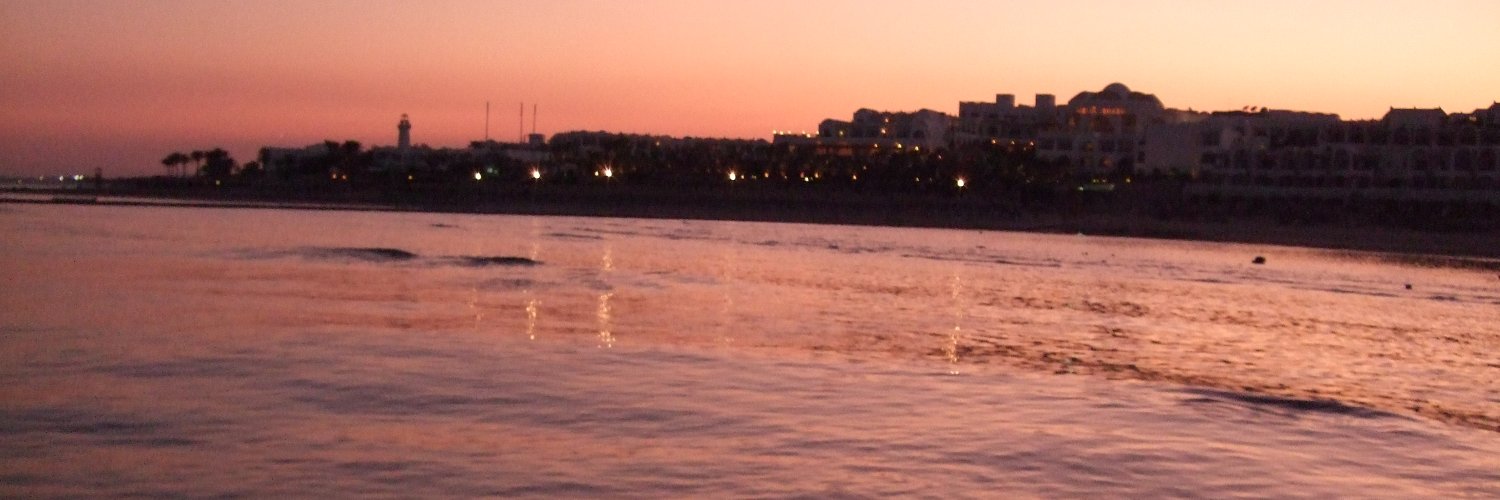 alinendrel's profile banner image