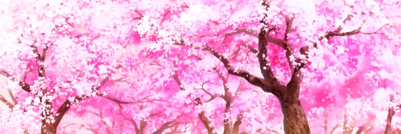 Kirinodere's profile banner image