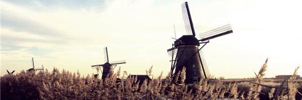 MartaCoconut's profile banner image