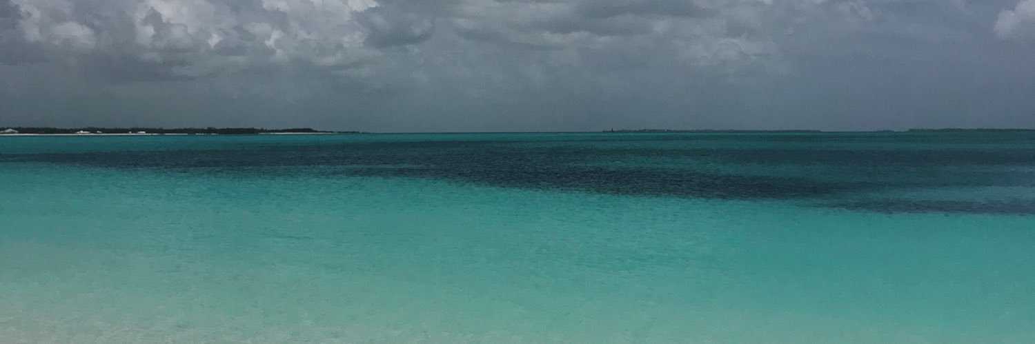 TaylorKimsey's profile banner image