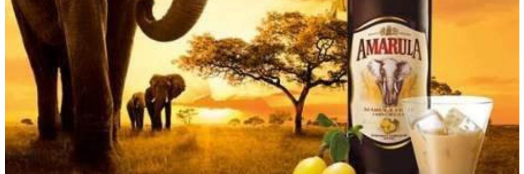 Onur_Coskun17's profile banner image
