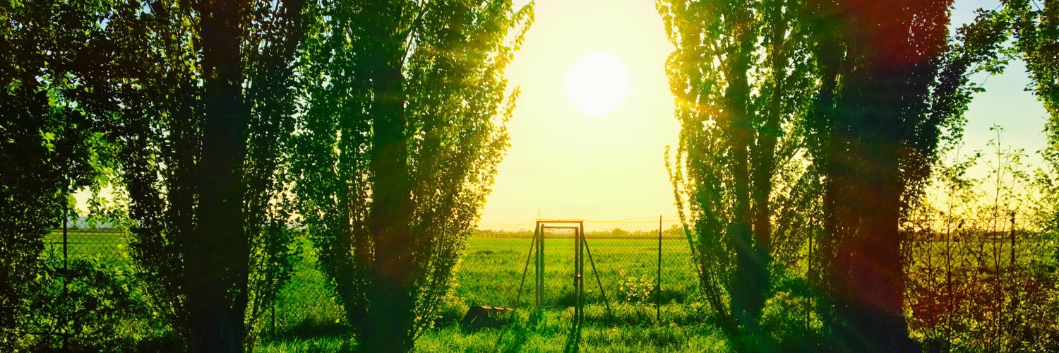 GiuliaCorsetti_'s profile banner image