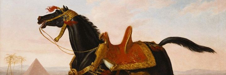 astopkaya's profile banner image
