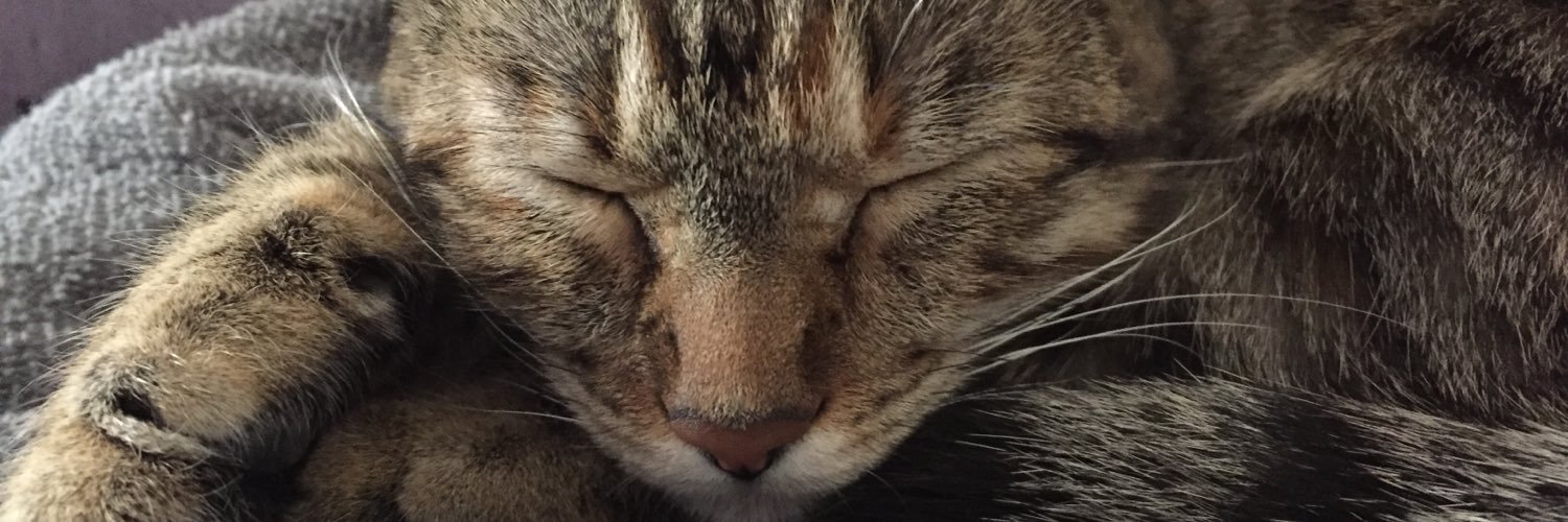 RoxxCH's profile banner image