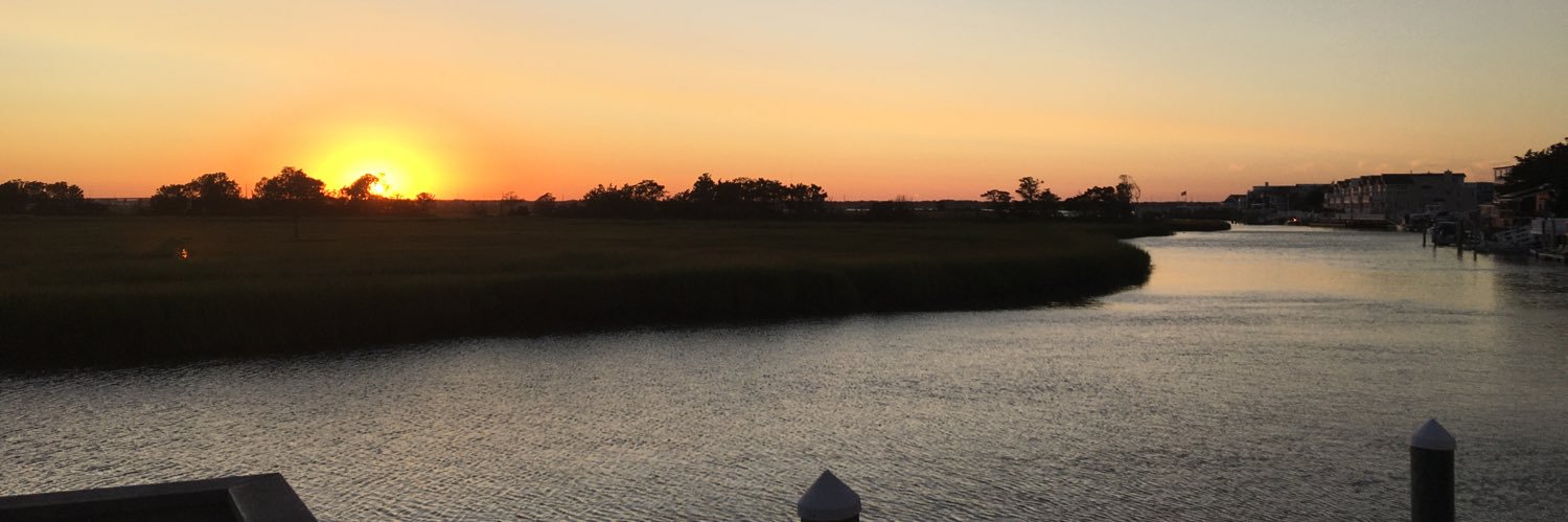 delpchick3's profile banner image