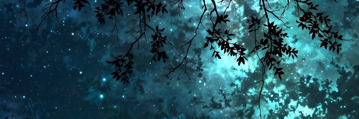 AliiRodriigueez's profile banner image