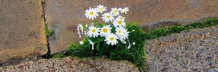 walid_birane's profile banner image