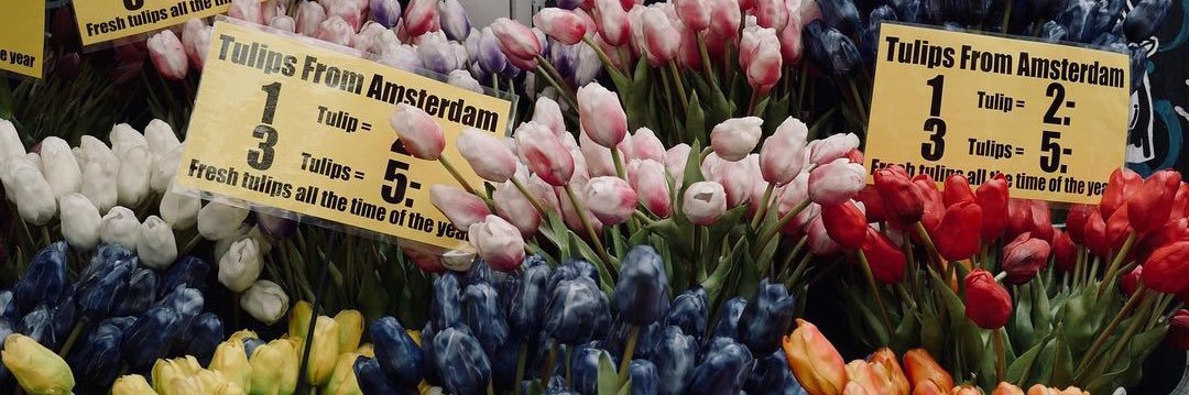 🍼🍓 ft. อตน banner