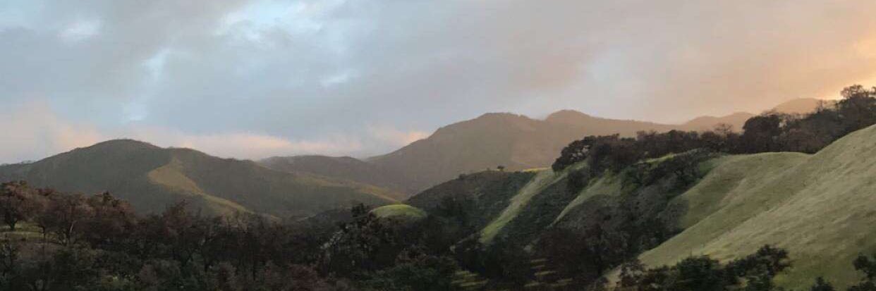 eruntolliver's profile banner image