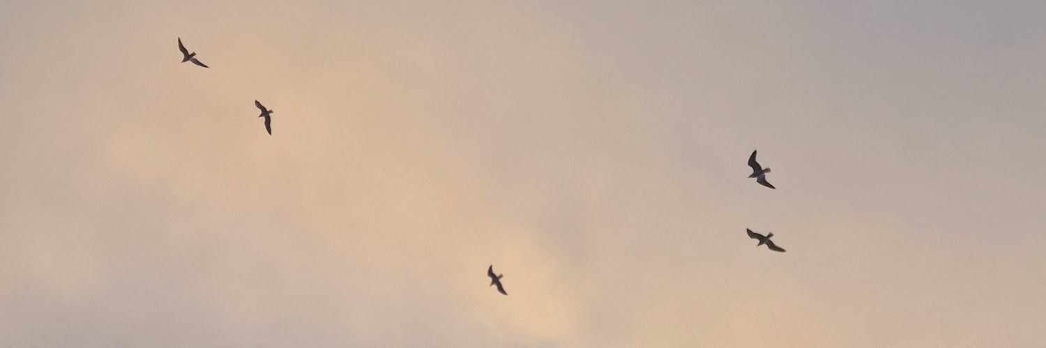 Pau__GR's profile banner image