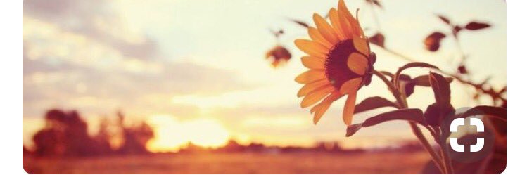 maddiecebrown's profile banner image