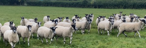 DuncsHawley Profile Banner