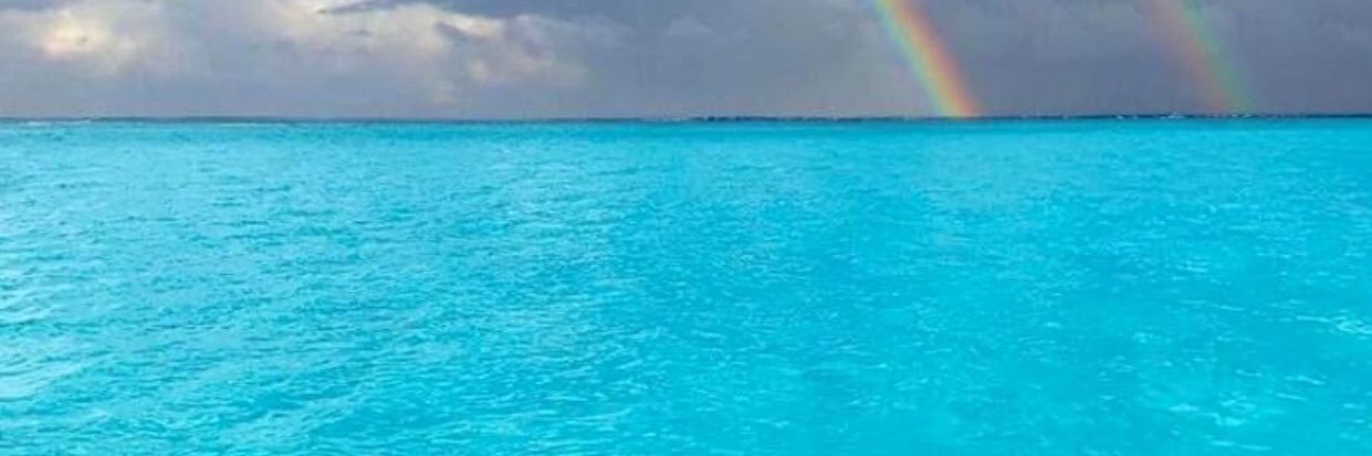 Nickell741's profile banner image