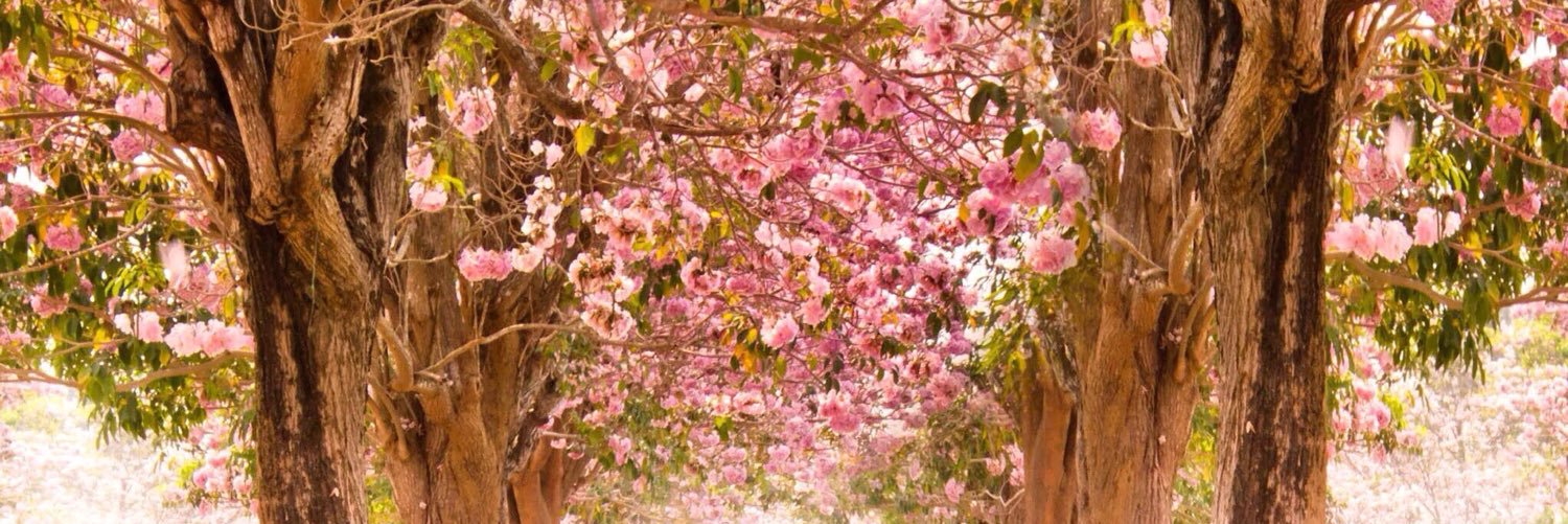 未来 banner