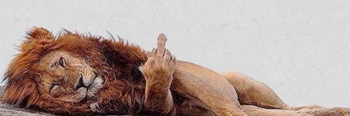 heidireggae's profile banner image