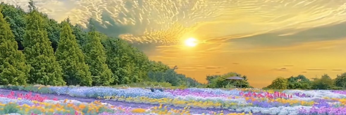 Jutha_mnmt's profile banner image