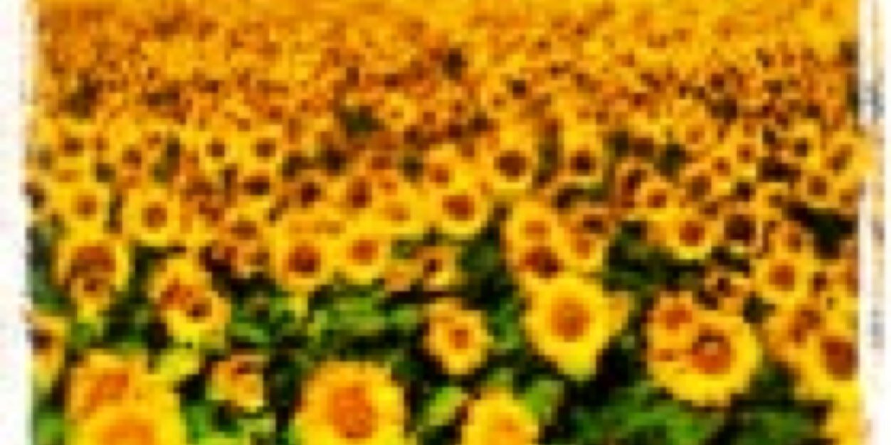 Sara_Spampani's profile banner image