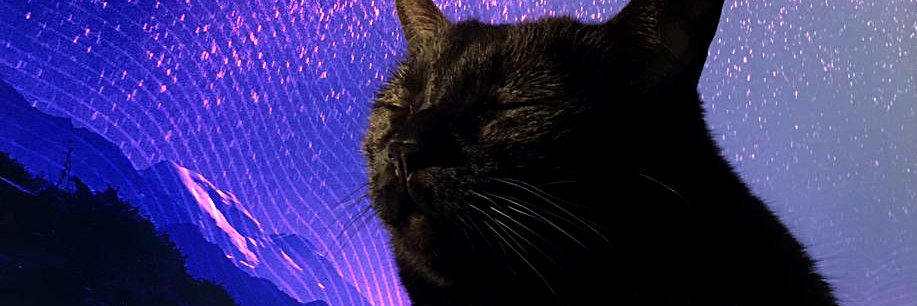 diegoxsilvera's profile banner image