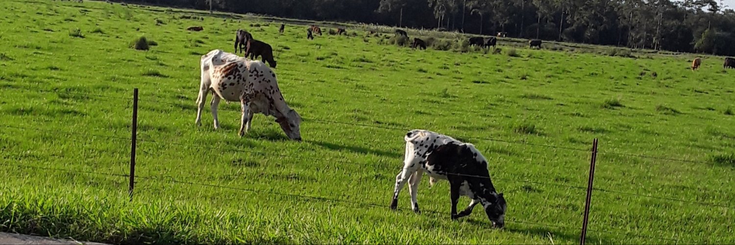 Ruben Hidalgo banner