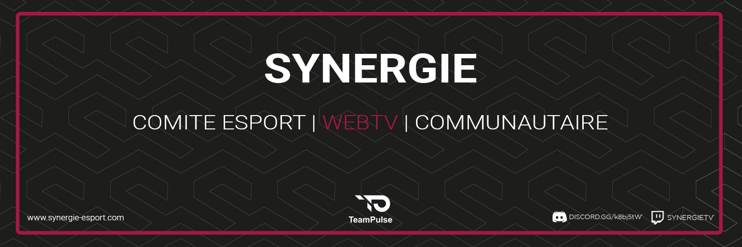 Synergie Profile Banner