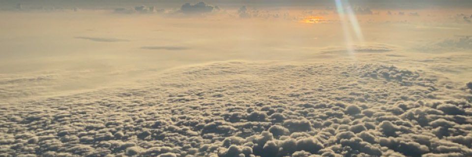 8ii_w's profile banner image