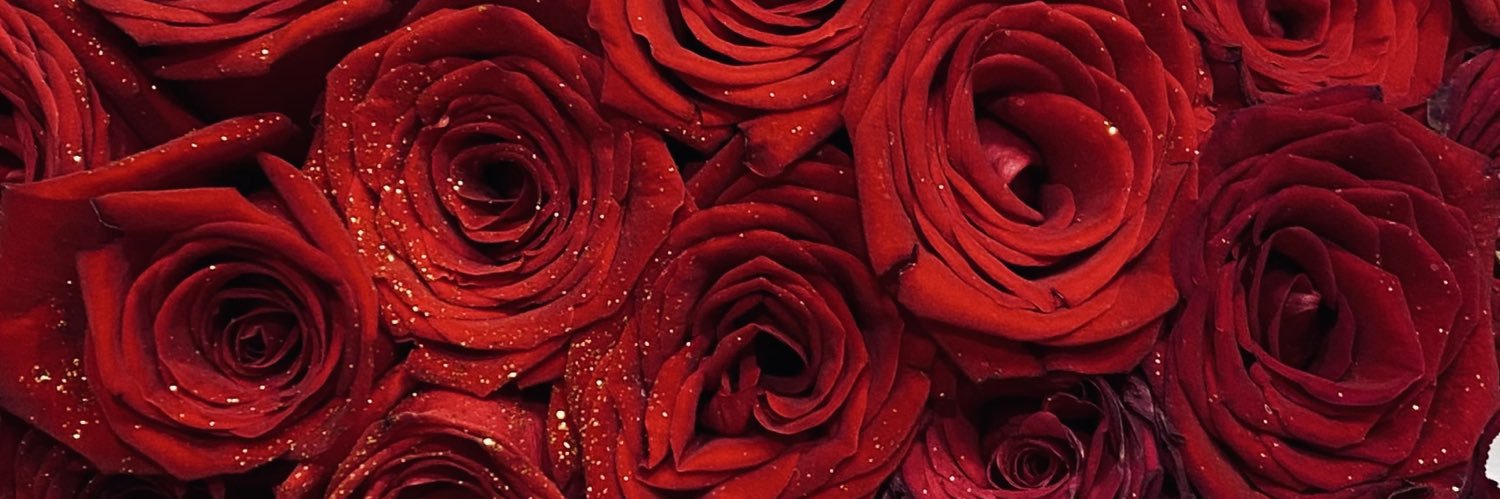 gabgarciar's profile banner image