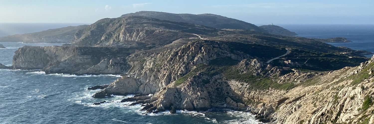 Veronique Triaille banner