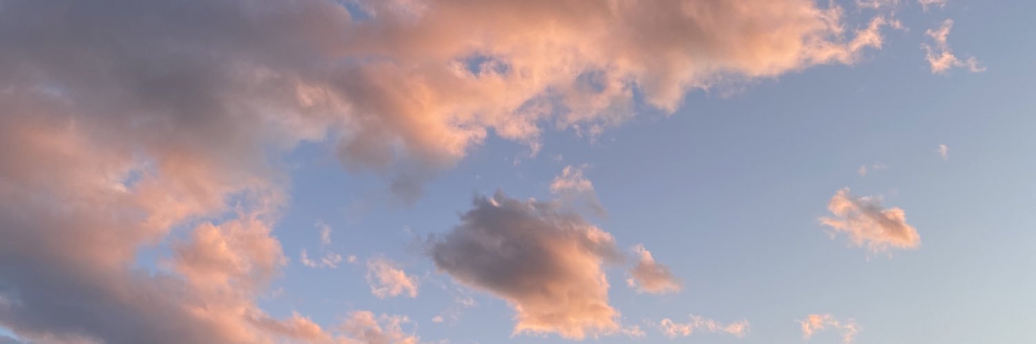 eliisafd6's profile banner image