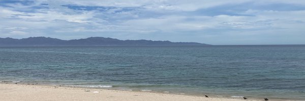 AlbertoBello_mx Profile Banner