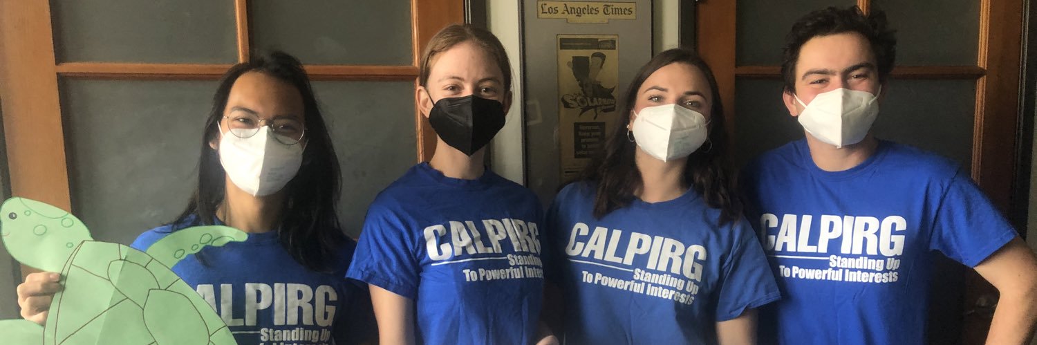 Sander Kushen banner