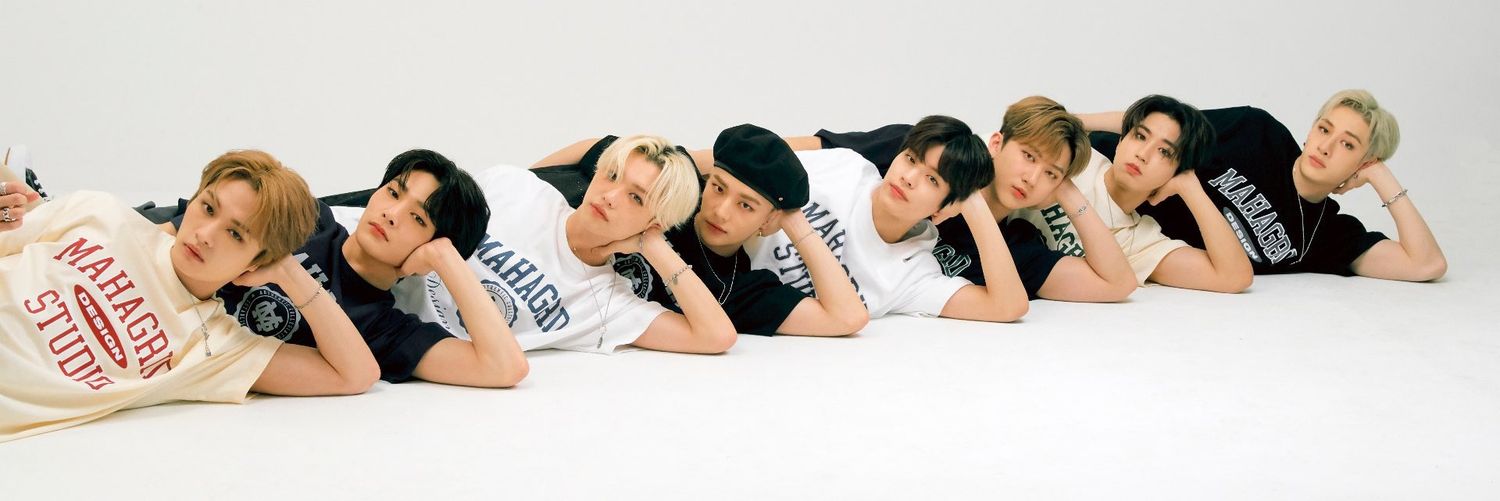 StrayKings965's profile banner image