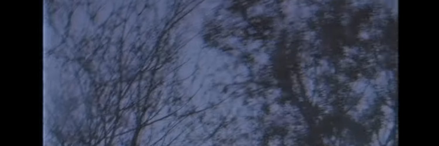 farfara09's profile banner image