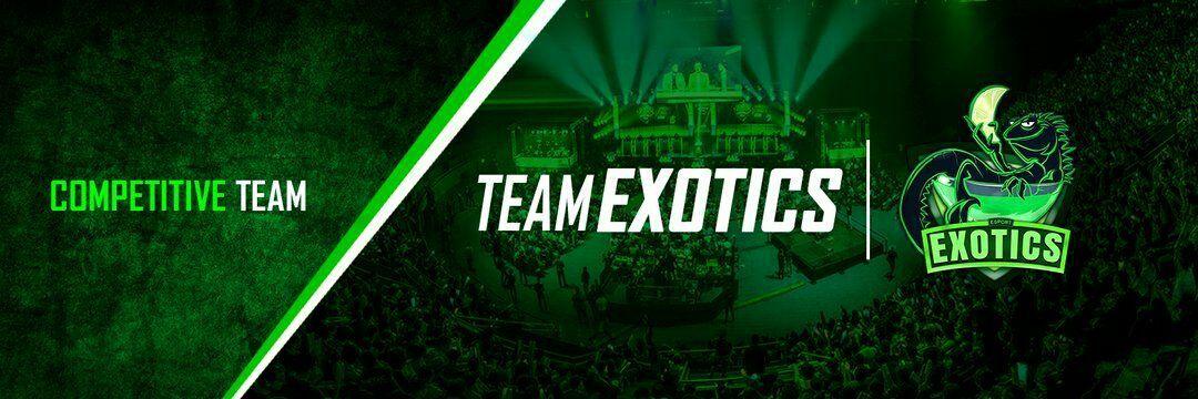 Team Exotics banner