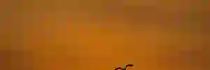 gloriaramirezr's profile banner image