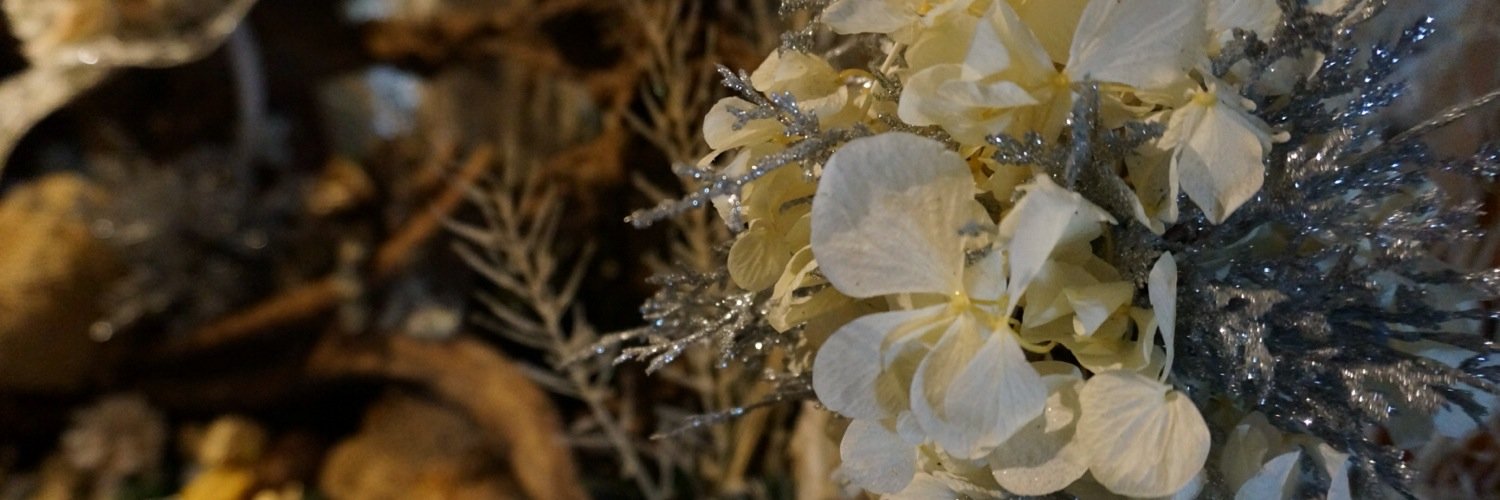 kanyaco's profile banner image