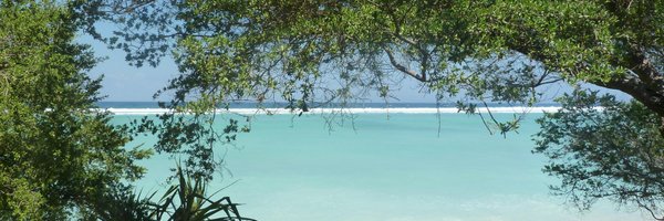 _Expansis Profile Banner