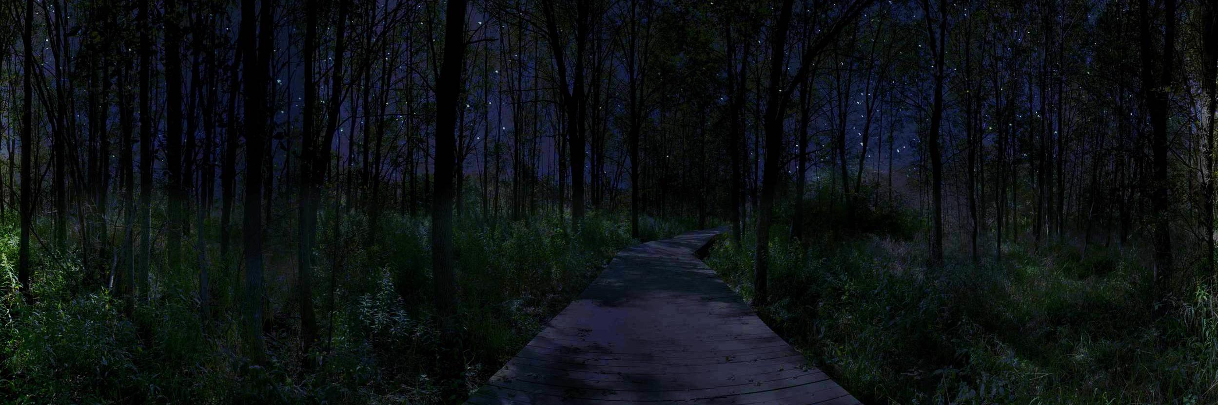 rarebluemonkey's profile banner image