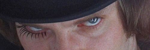 filllips banner