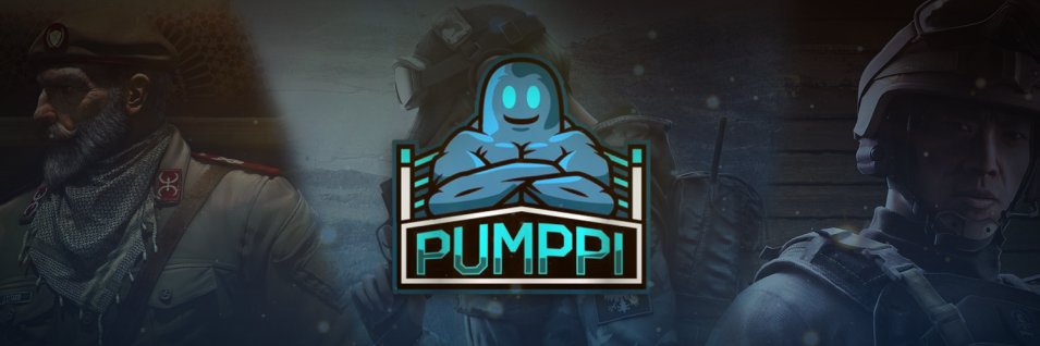 Viittas banner
