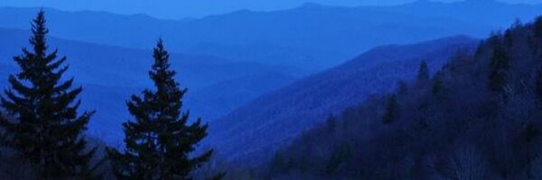coachmikegraham Profile Banner