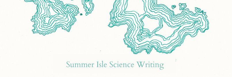RJ Mackenzie banner