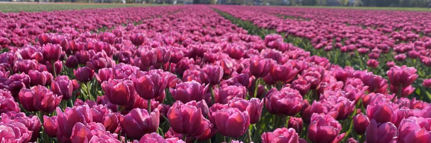 Ankit Agarwal banner